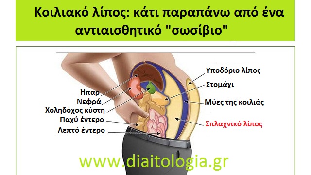 Τι λένε ειδικοί να πίνετε μετά τα 50 για να φεύγει το σπλαχνικό λίπος