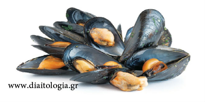 Μύδια και χοληστερίνη : ένας ακόμα μύθος