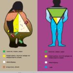 Σωματικό λίπος και περιττό βάρος: Πως κατανέμεται το λίπος στο σώμα μας;