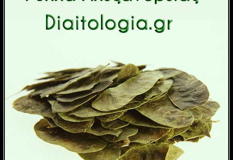 Φύλλα Αλεξανδρείας