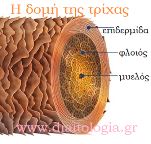 Φροντίδα για τα ξηρά μαλλιά