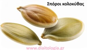 Οι σπόροι κολοκύθας