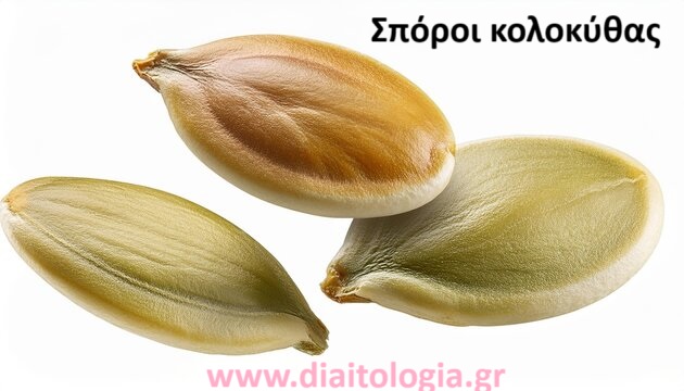 Οι σπόροι κολοκύθας