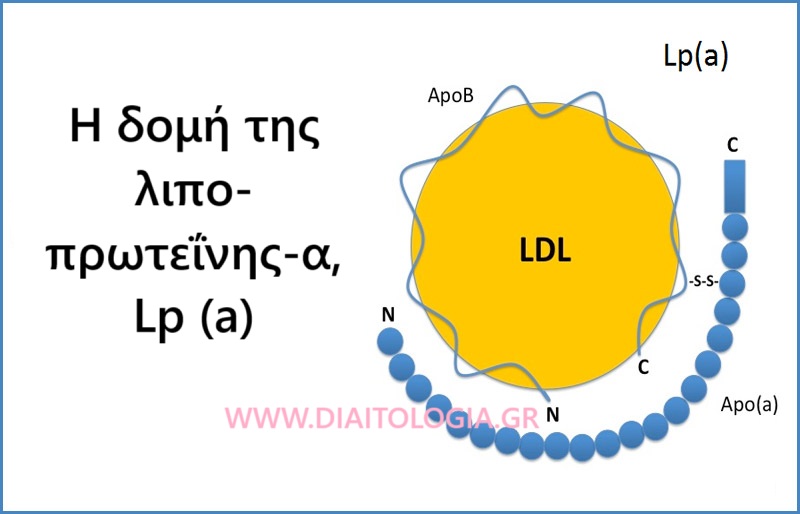 Η Lp(a)-λιποπρωτεΐνη α