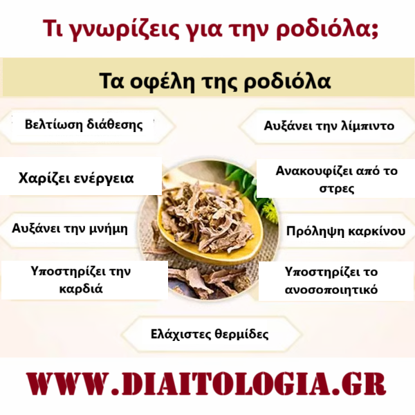Η ροδιόλα