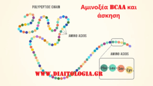 Αμινοξέα BCAA και άσκηση