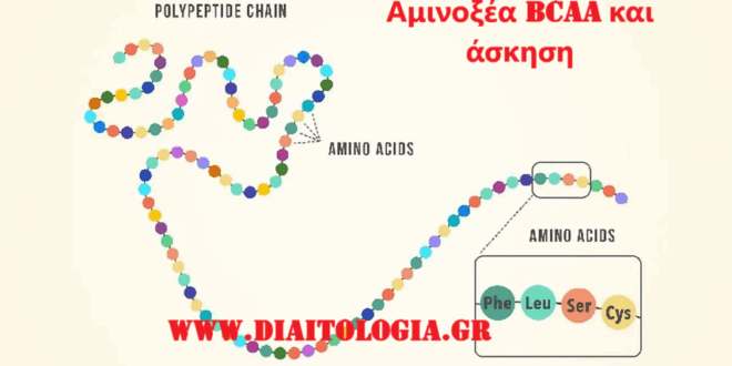 Αμινοξέα BCAA και άσκηση