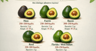Τα είδη και οι ποικιλίες του αβοκάντο